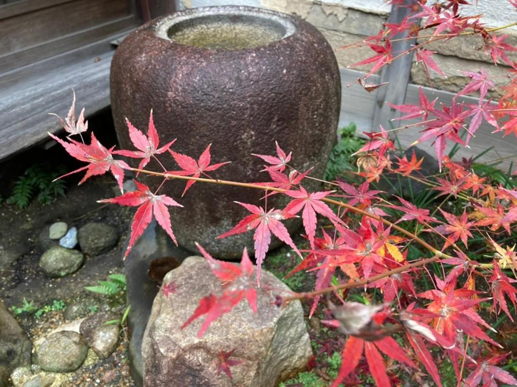 Veada Kyoto Exterior photo